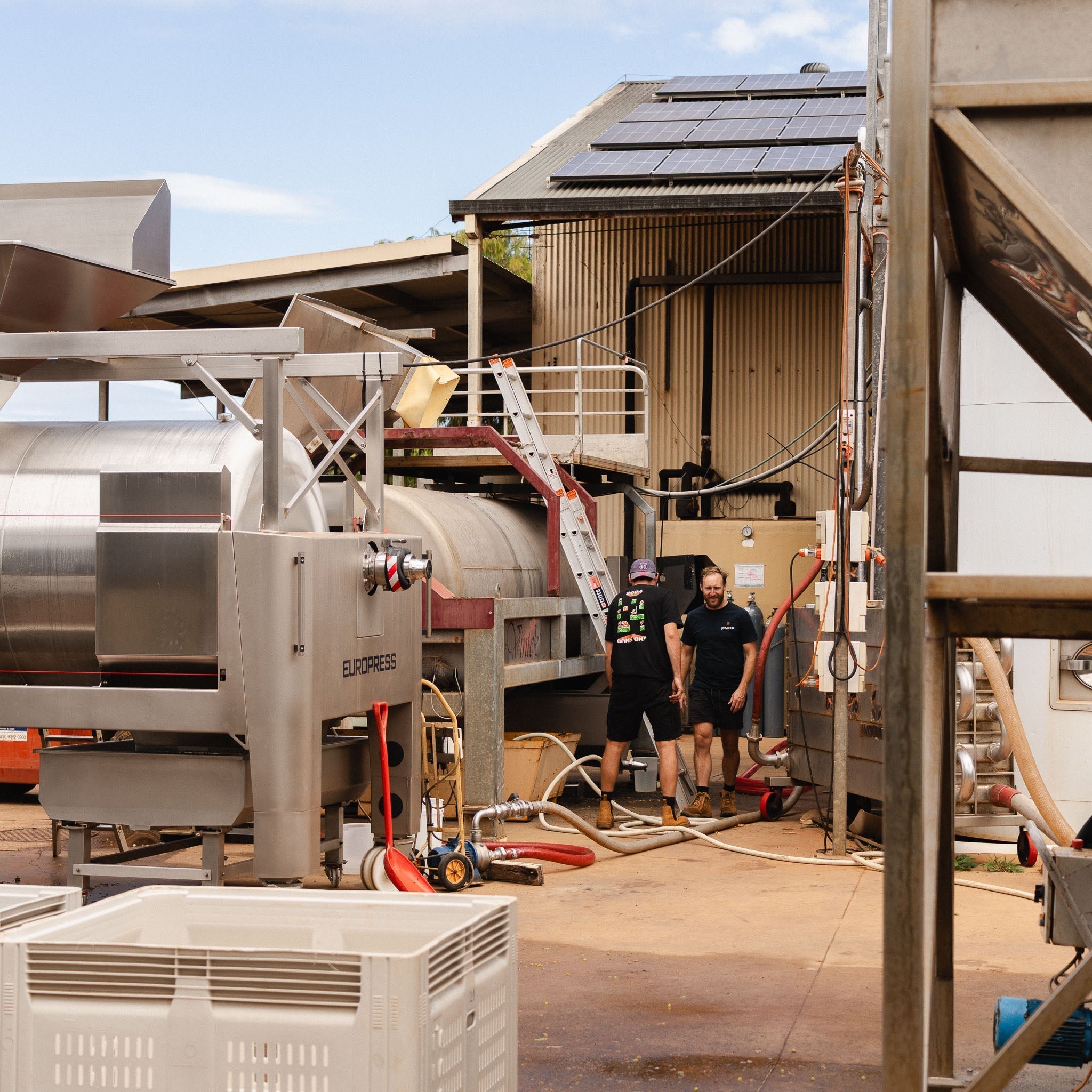 2025 Vintage Update - Winery - Juniper Estate