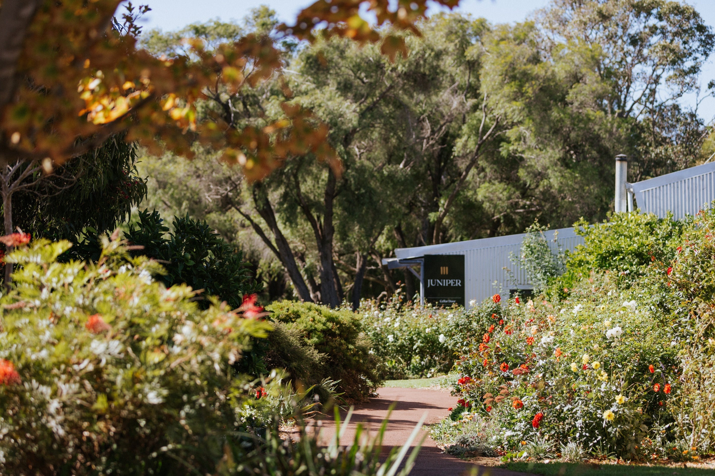 Meet Matteo, our new Cellar Door Manager - Juniper Estate
