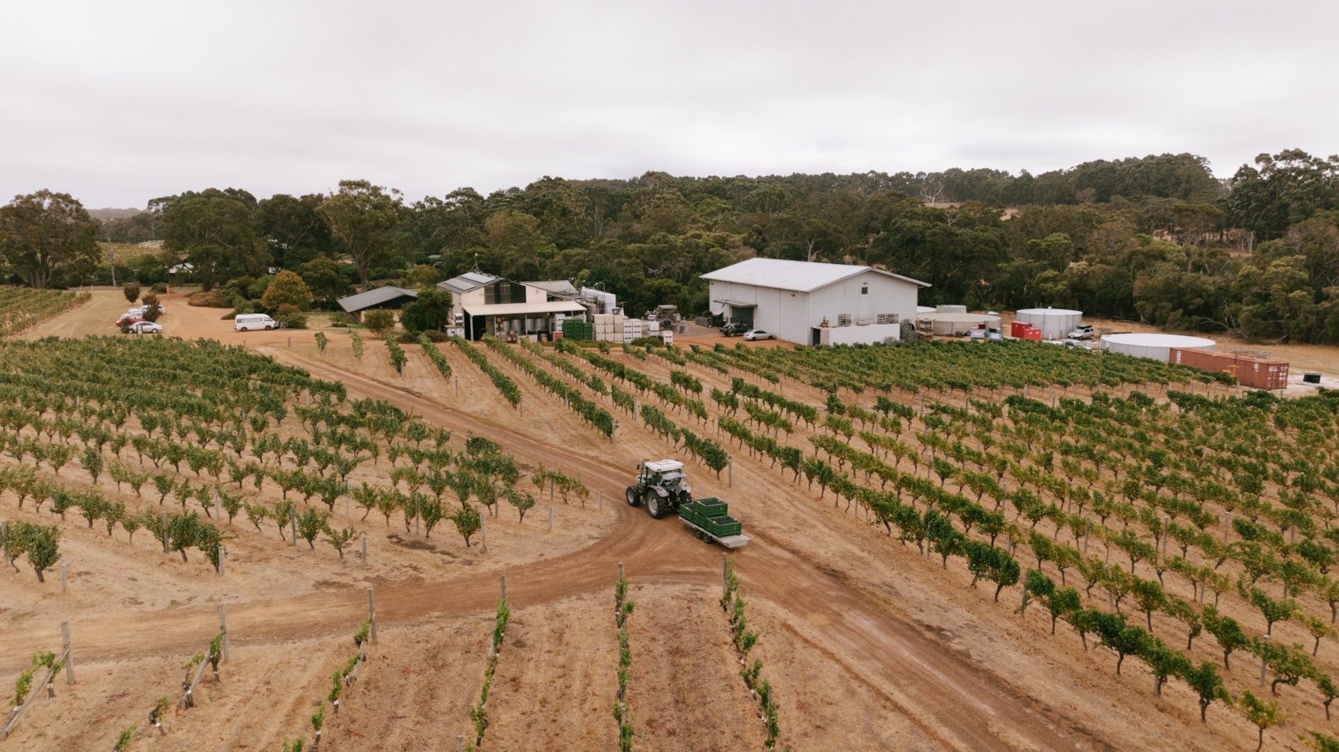 Next Crop x Juniper - Juniper Estate